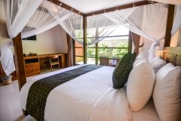 deluxe-with-terrace5