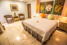 deluxe_garden_viewt5